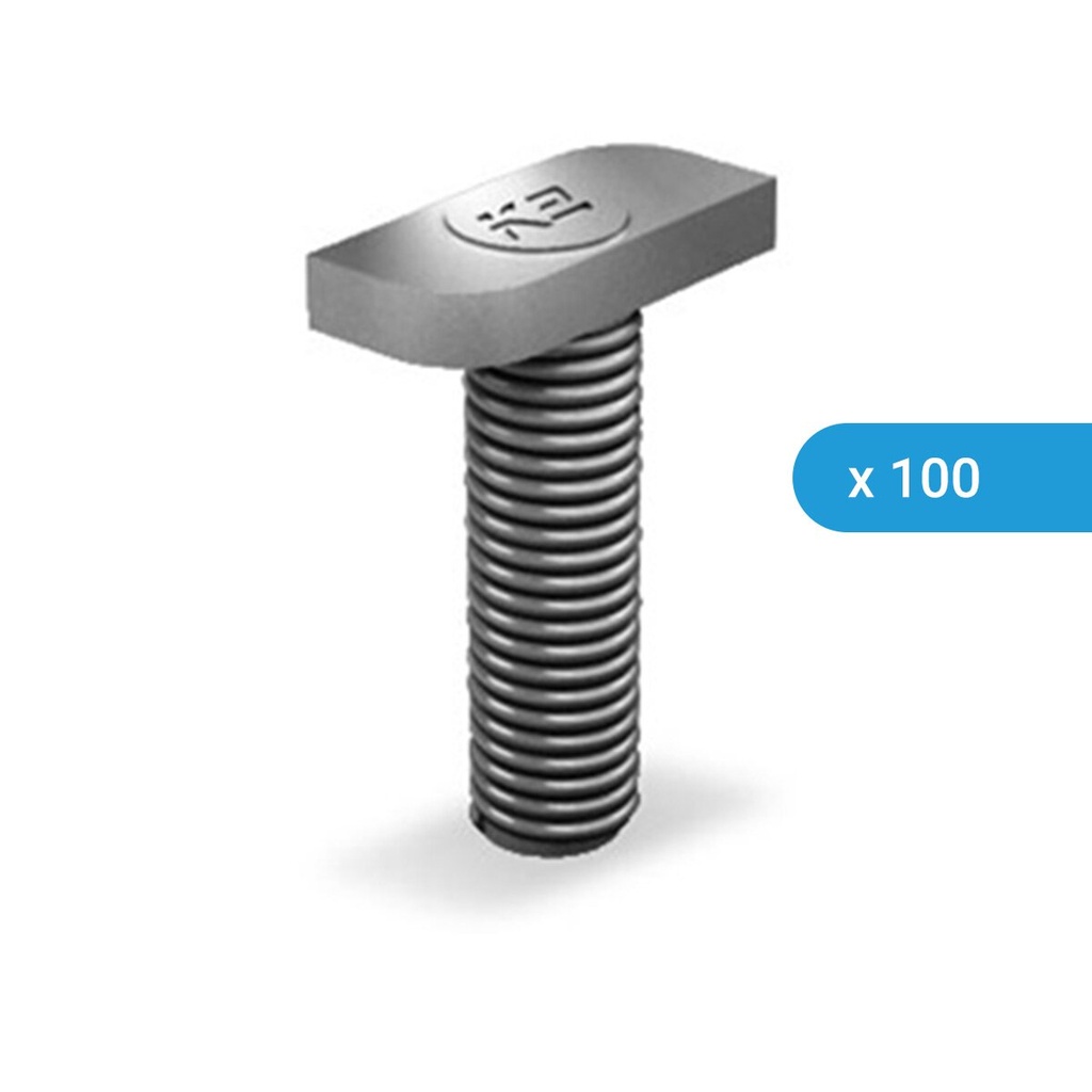 [A02158-VE] 100 x K2 Hammerkopfschraube 20/12 M8x30 für SingleRal 36/50 | A02158-VE